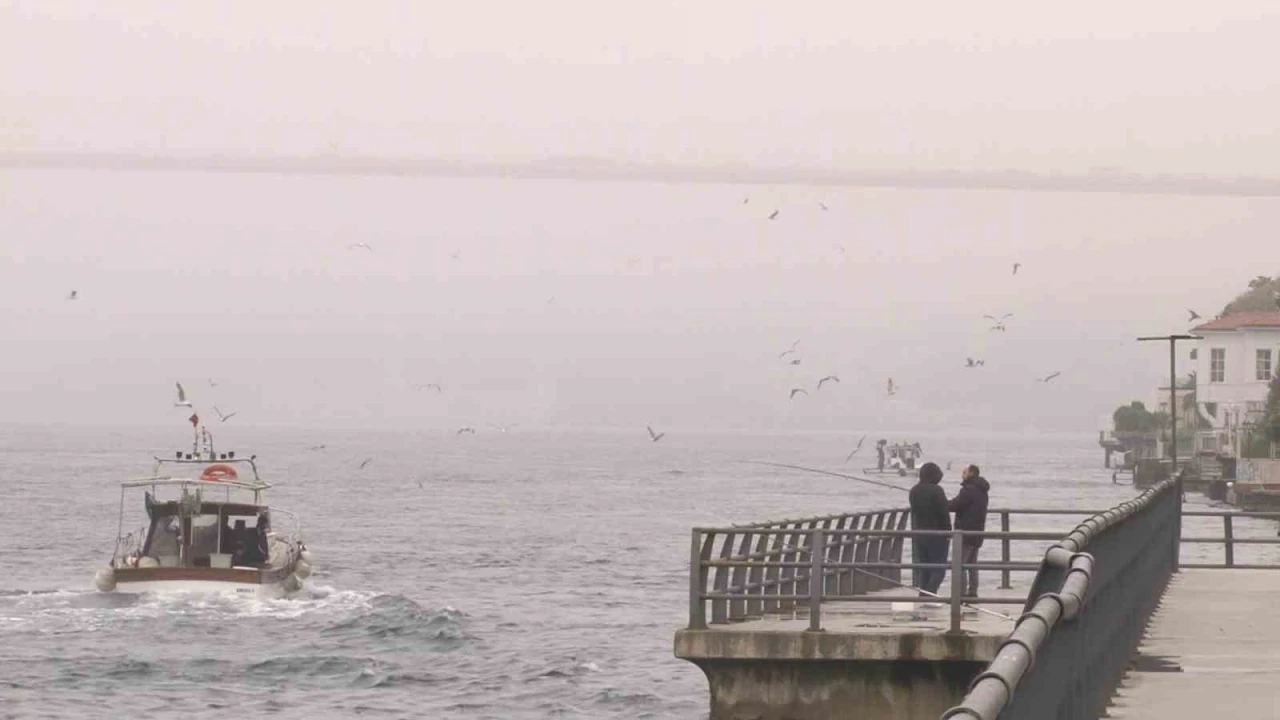 Sis ile kaplanan İstanbul Boğazı kartpostallık görüntüler oluşturdu
