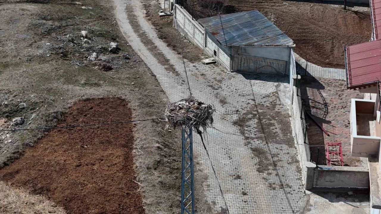 Sivas’ın ‘Leylekli köyü’, baharın müjdeleyicilerini bekliyor
