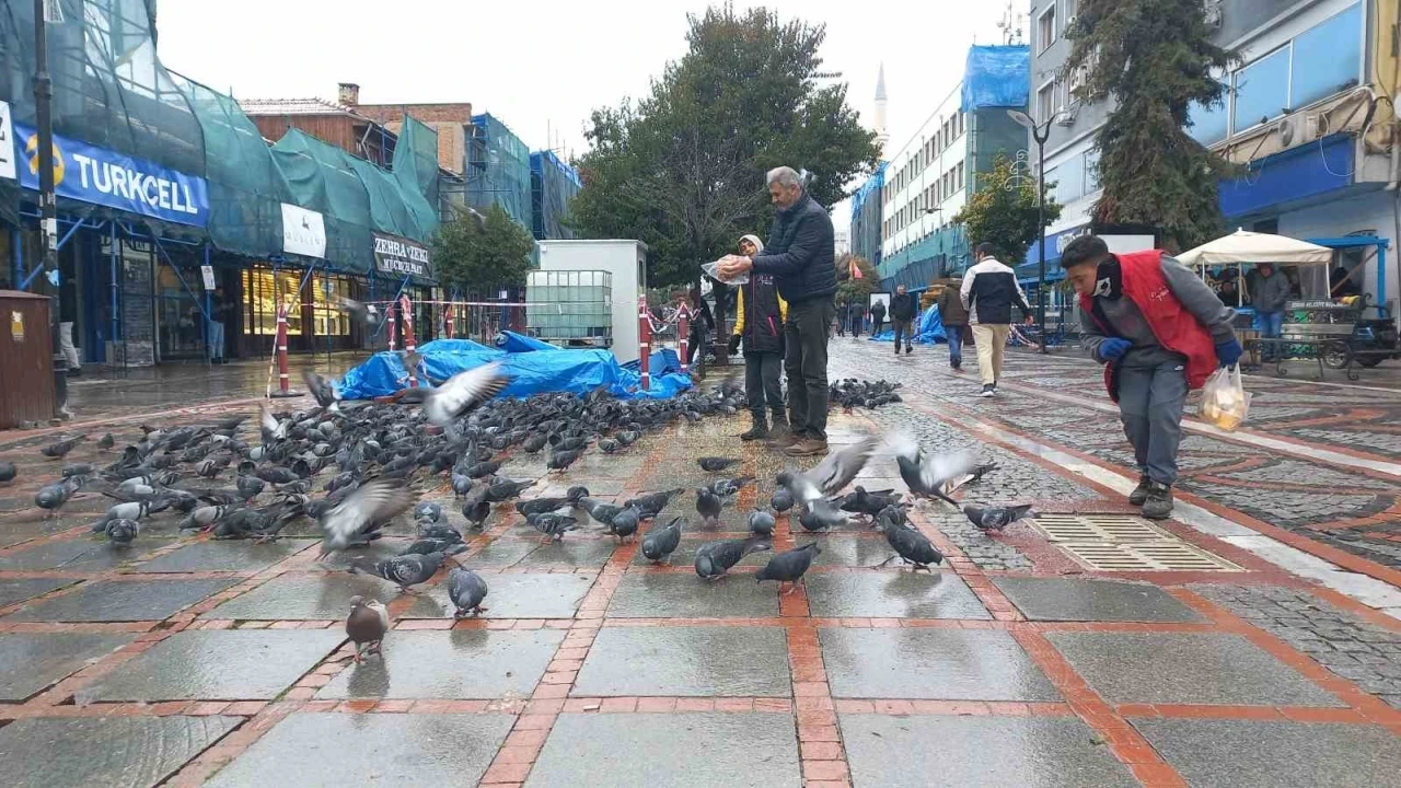 Soğukta aç kalan güvercinlerin yardımına yetiştiler
