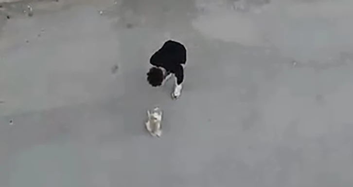 Sokak ortasında köpeğine eziyet eden şahıs sevk edildiği mahkemece serbest bırakıldı
