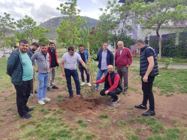 Soma’da yaşayan Ordulular hayatını kaybeden madenciler anısına fidan dikti
