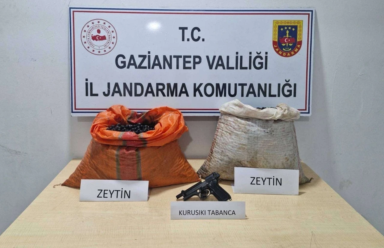 Suçüstü yakalanan zeytin hırsızlığı şüphelisi tutuklandı
