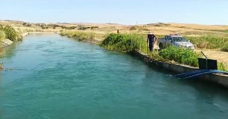 Sulama kanalında kaybolan çobanı arama çalışmaları 7. gününde
