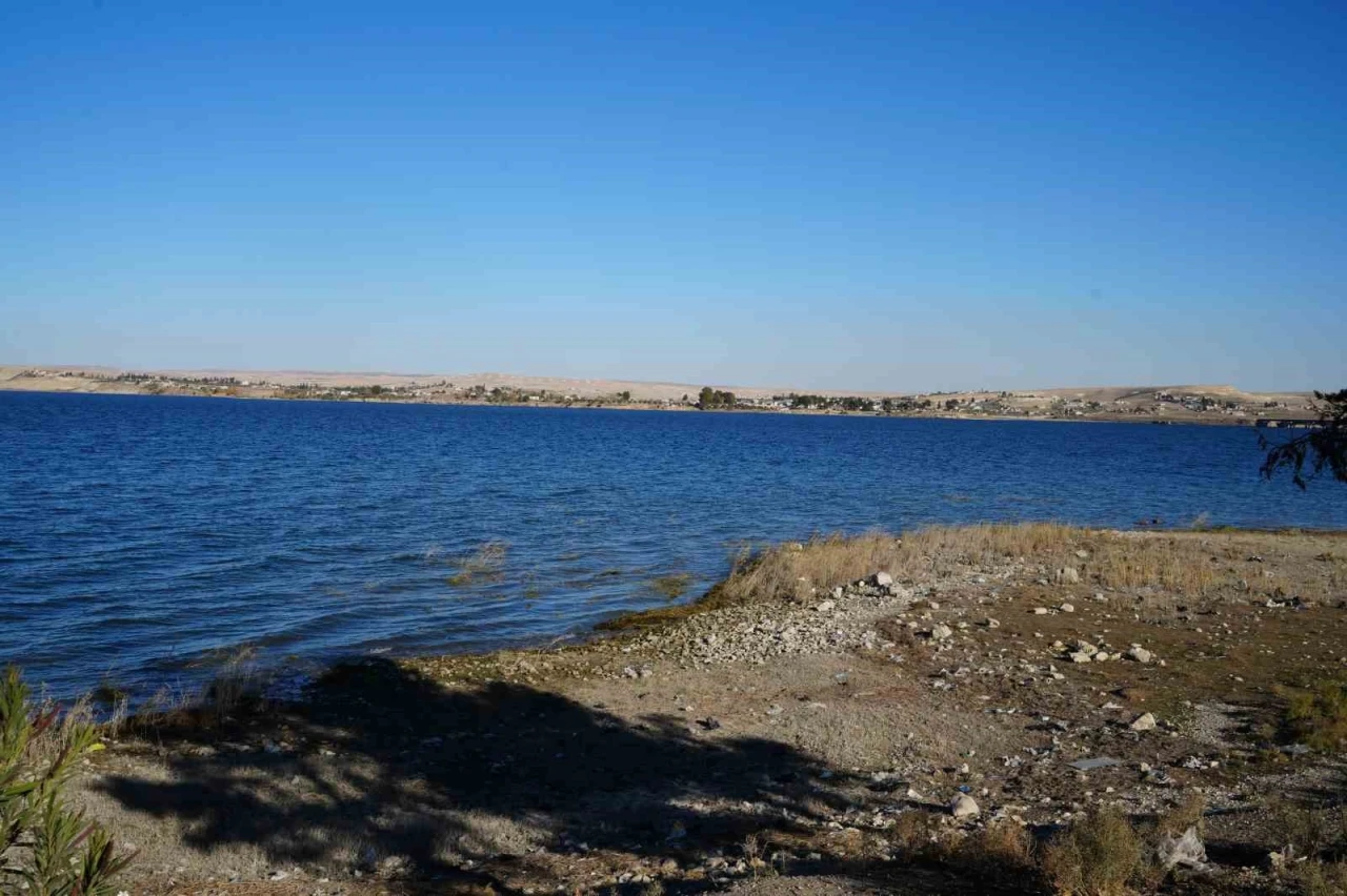 Suriye Milli Ordusu, Süleyman Şah Türbesine girmeye hazırlanıyor
