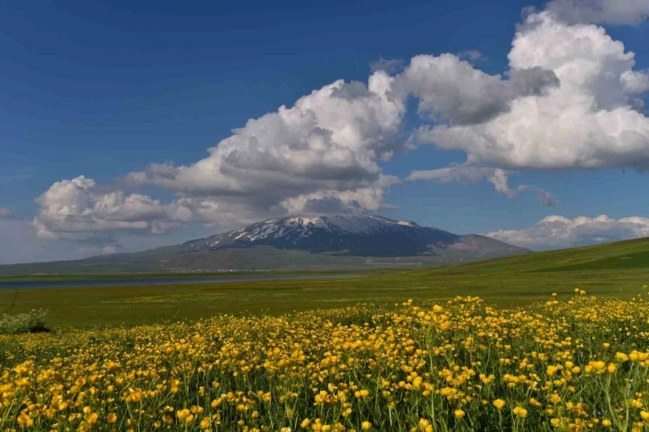 Sütey Yaylası ve Süphan Dağı’ndan hayranlık uyandıran görüntüler
