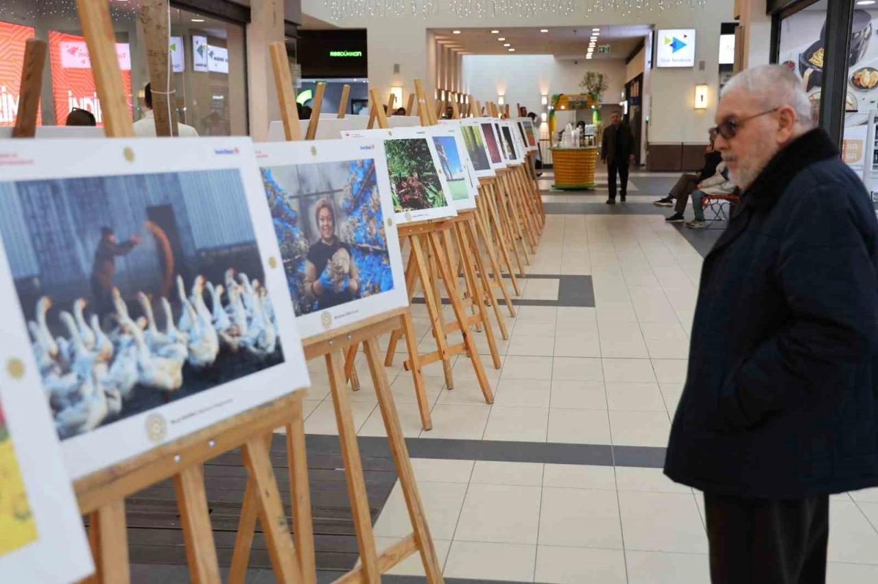 Tarım, Orman ve İnsan temalı fotoğraf sergisi açıldı
