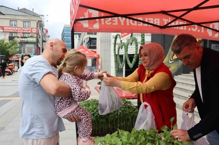 Tarımsal kalkınmaya fide desteği
