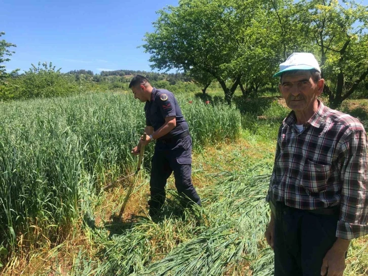 Tarlasında çalışmaktan yorgun düşen çiftçiye jandarma yardım etti
