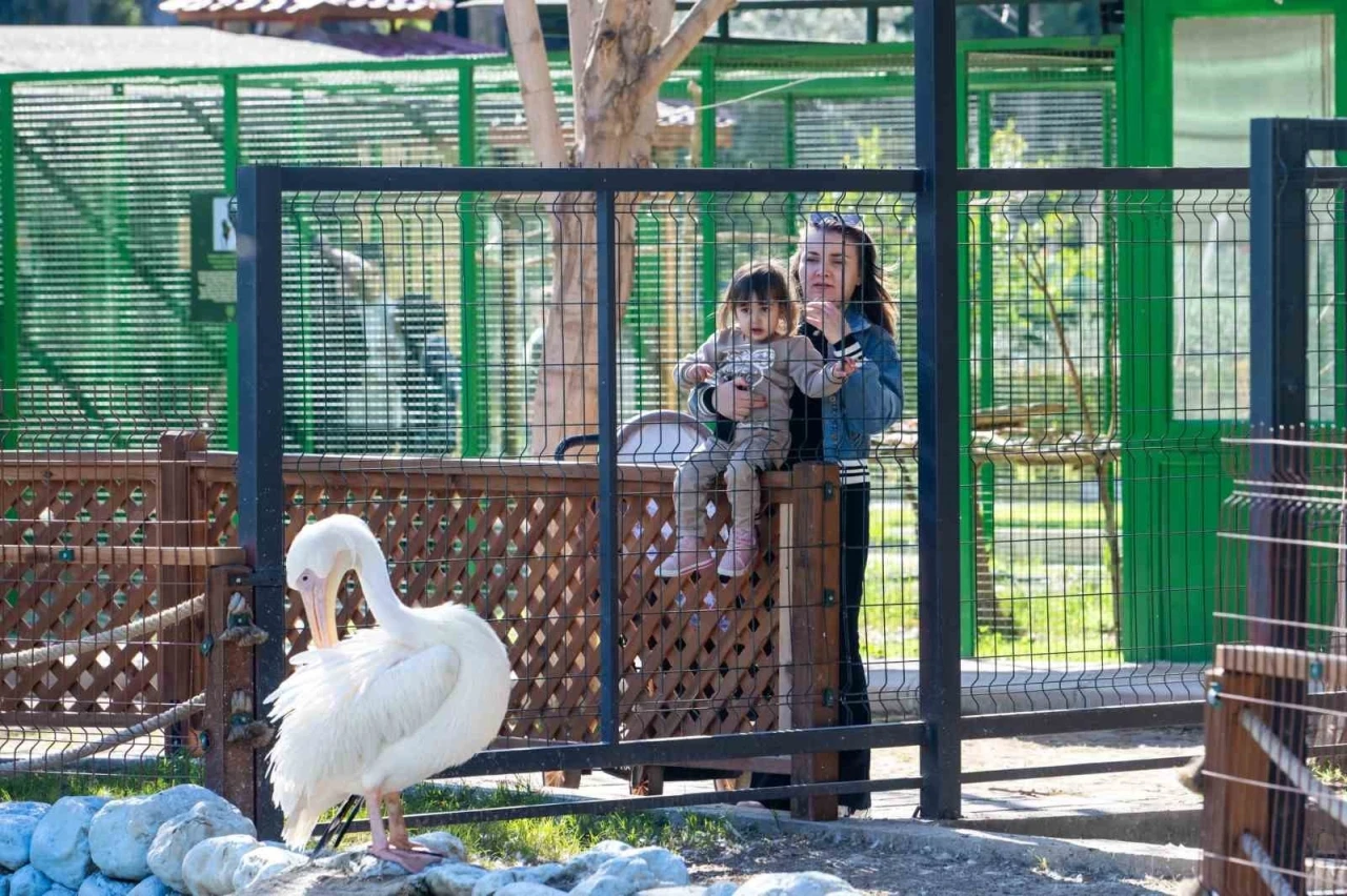 Tarsus Doğa Parkı, yarı yıl tatilinde çocukları ağırlıyor
