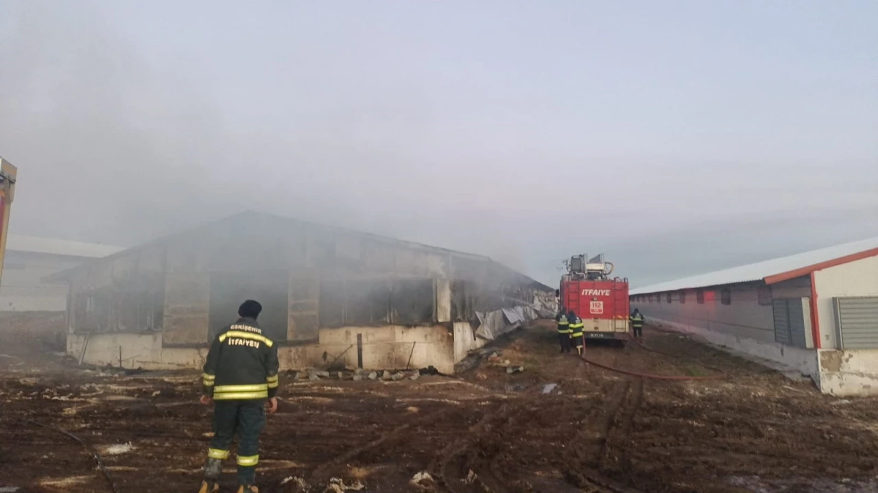 Tavuk çiftliğinde çıkan yangın hasara neden oldu
