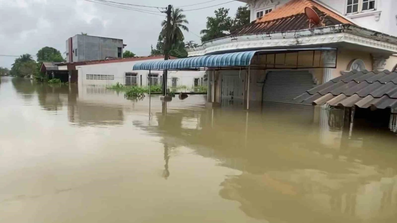 Tayland’daki sel felaketinde can kaybı 29’a yükseldi
