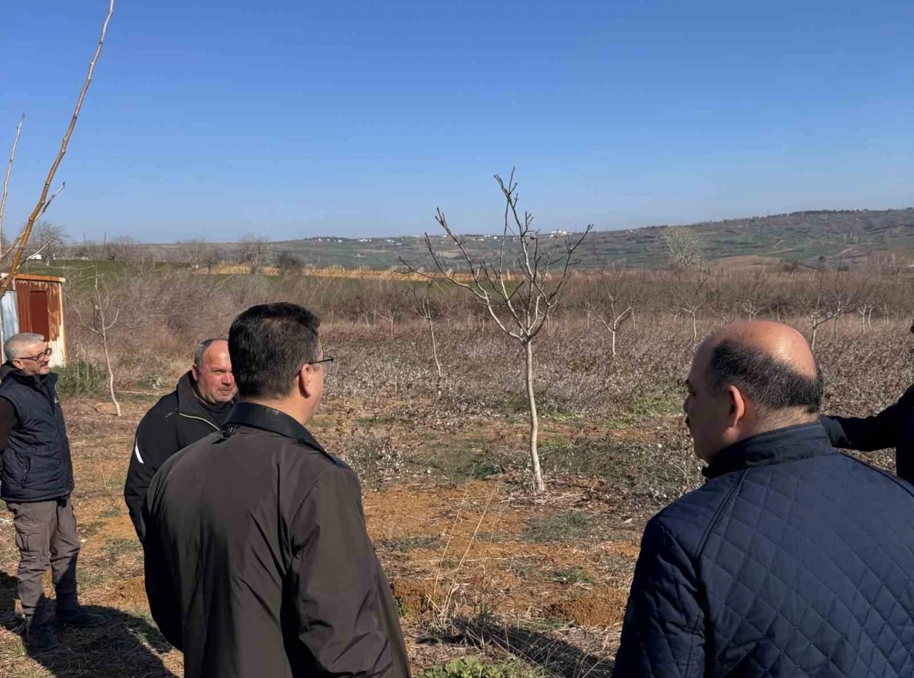 Tekirdağ’da ceviz üretimine yakın takip: İl Müdürü incelemelerde bulundu
