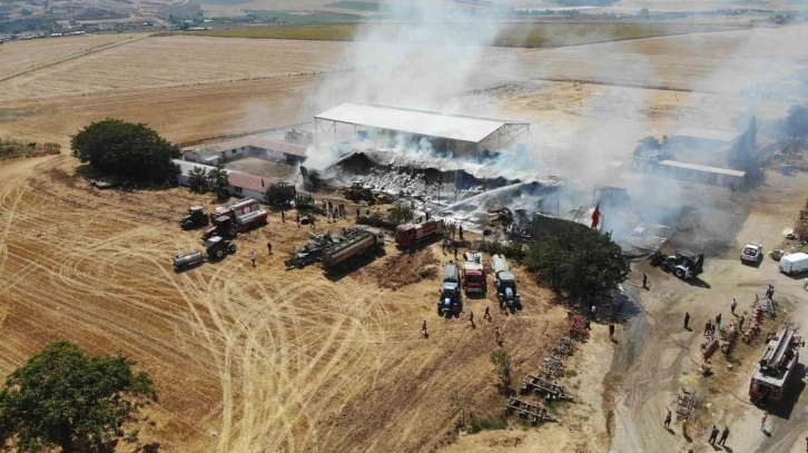 Tekirdağ’da çiftlik yangını: 15 bin balya saman yandı
