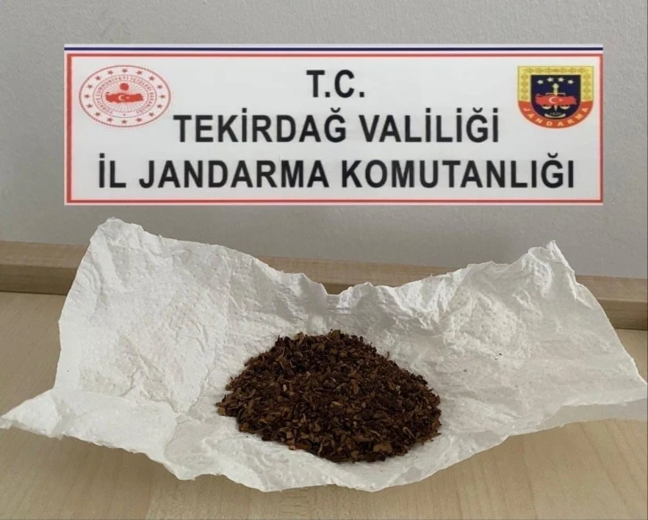 Tekirdağ’da Jandarma operasyonları: Uyuşturucu ve silah ele geçirildi
