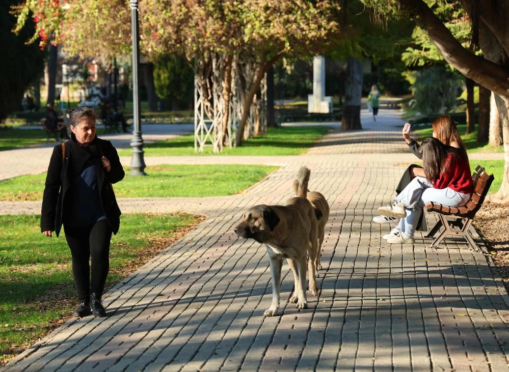 Termometreler 30 Dereceyi Gösterdi