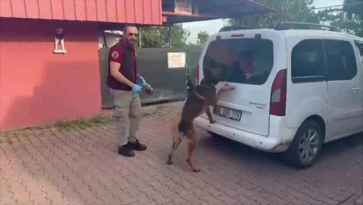 Torbacılar yakalanınca “Kraliçe arı” taşıdıklarını söyledi
