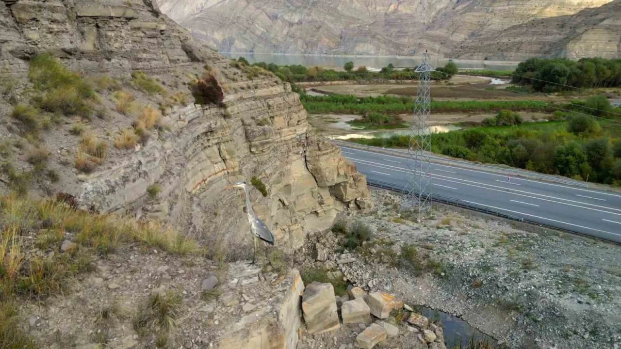 Tortum Gölü yaban hayata ev sahipliği yapıyor
