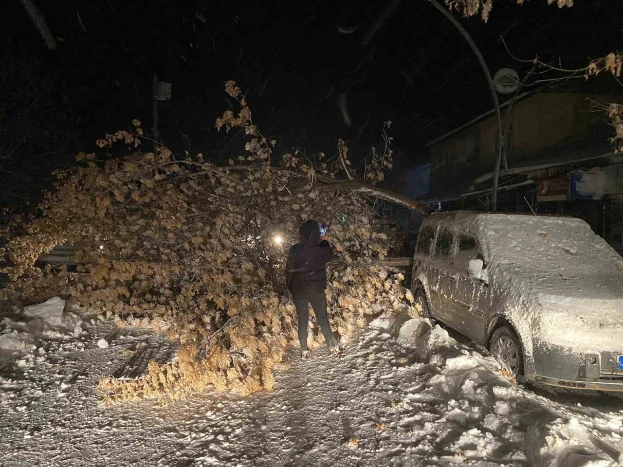 Tunceli’de fırtına, ağaçları devirdi
