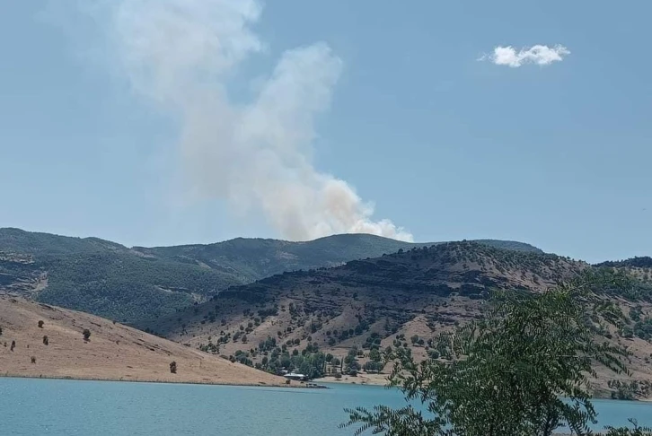 Tunceli’de orman yangını
