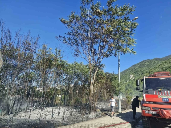 Uludağ eteklerindeki ormanlık alanda korkutan yangın
