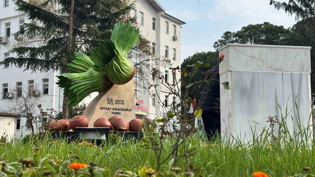 Ünye’de ‘fındık figürlü’ park yenileme çalışması
