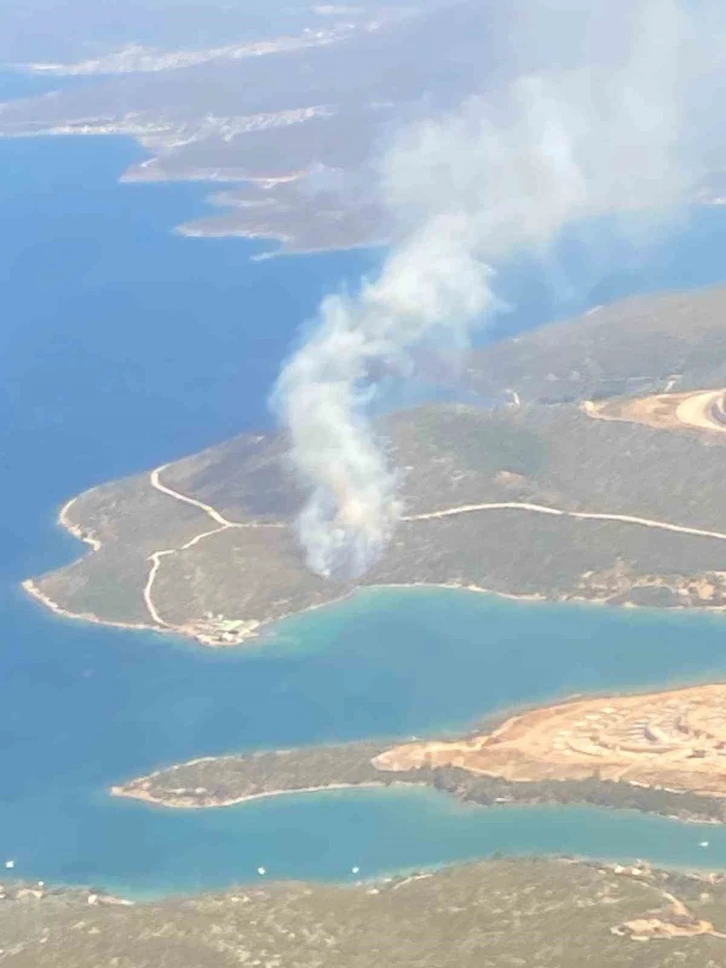 Urla’da orman yangını
