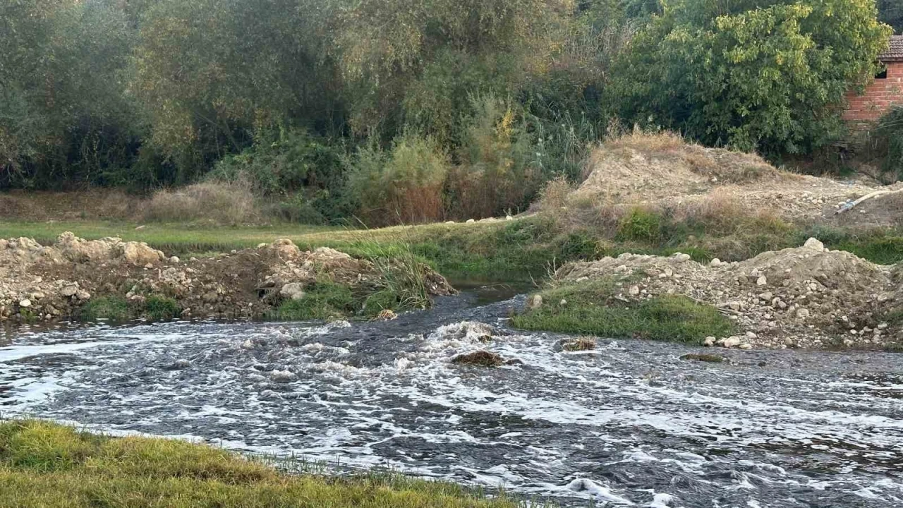 Uşak OSB’den bırakılan atıkların Gediz Nehri’nde kirlilik ve balık ölümlerine neden olduğu iddia edildi
