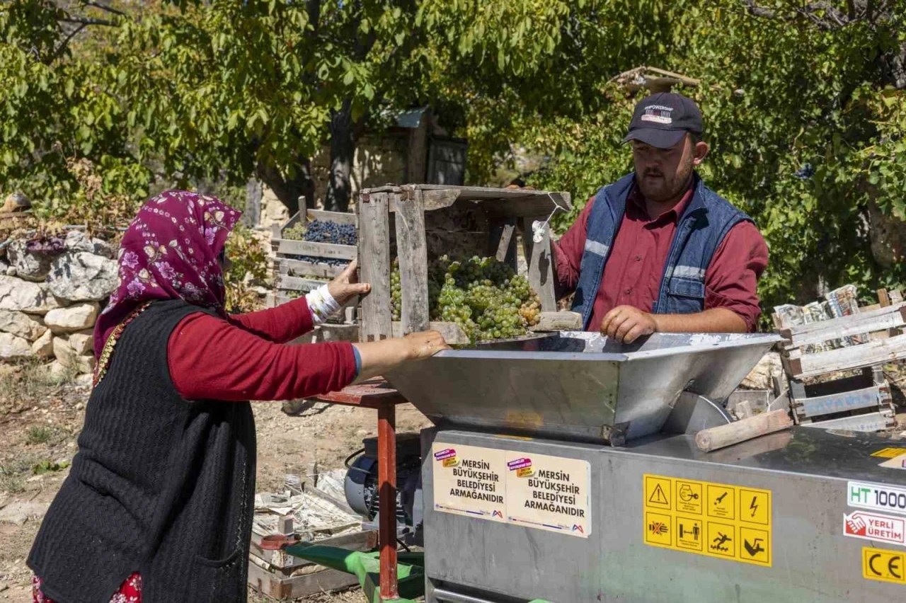 Üzüm sıkma makinesi çalışıyor, üretici keyfine bakıyor
