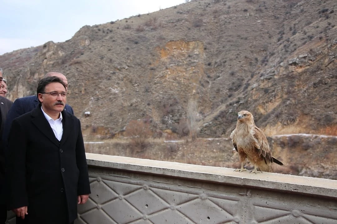 Vali Çiçek; tedavisi tamamlanan hayvanları doğaya saldı
