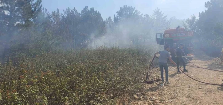 Valilikten Kırka yangını ile ilgili açıklama
