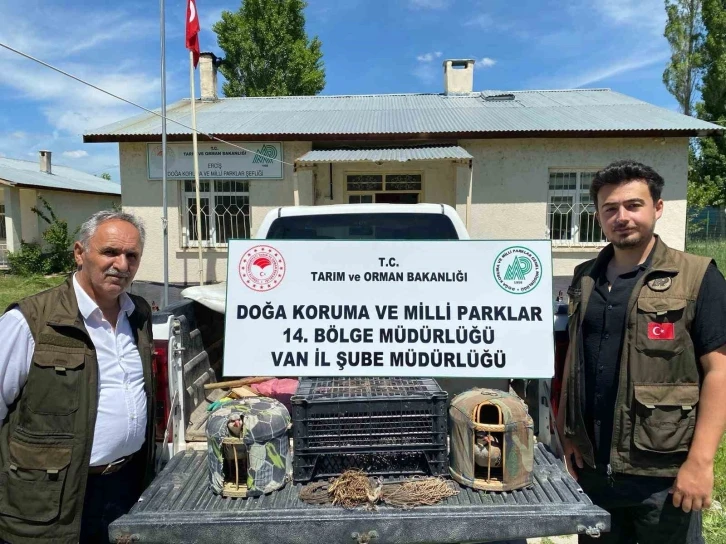 Van’da keklik avlayan 2 kişiye 18 bin 721 lira para cezası uygulanacak
