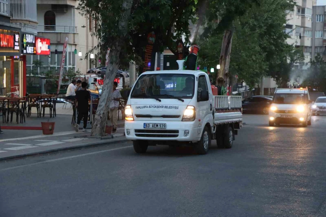 Vektörle mücadelede önlemler arttırıldı
