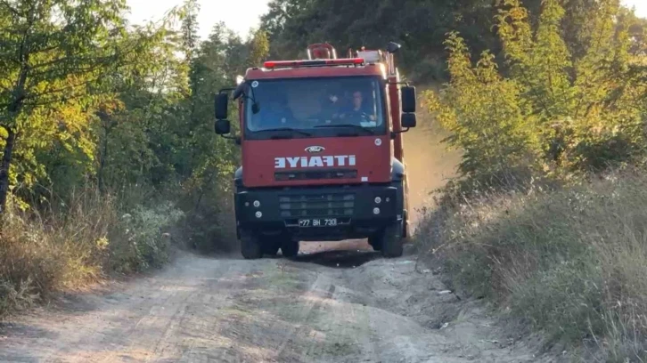 Yalova’da mangal yangına sebep oldu
