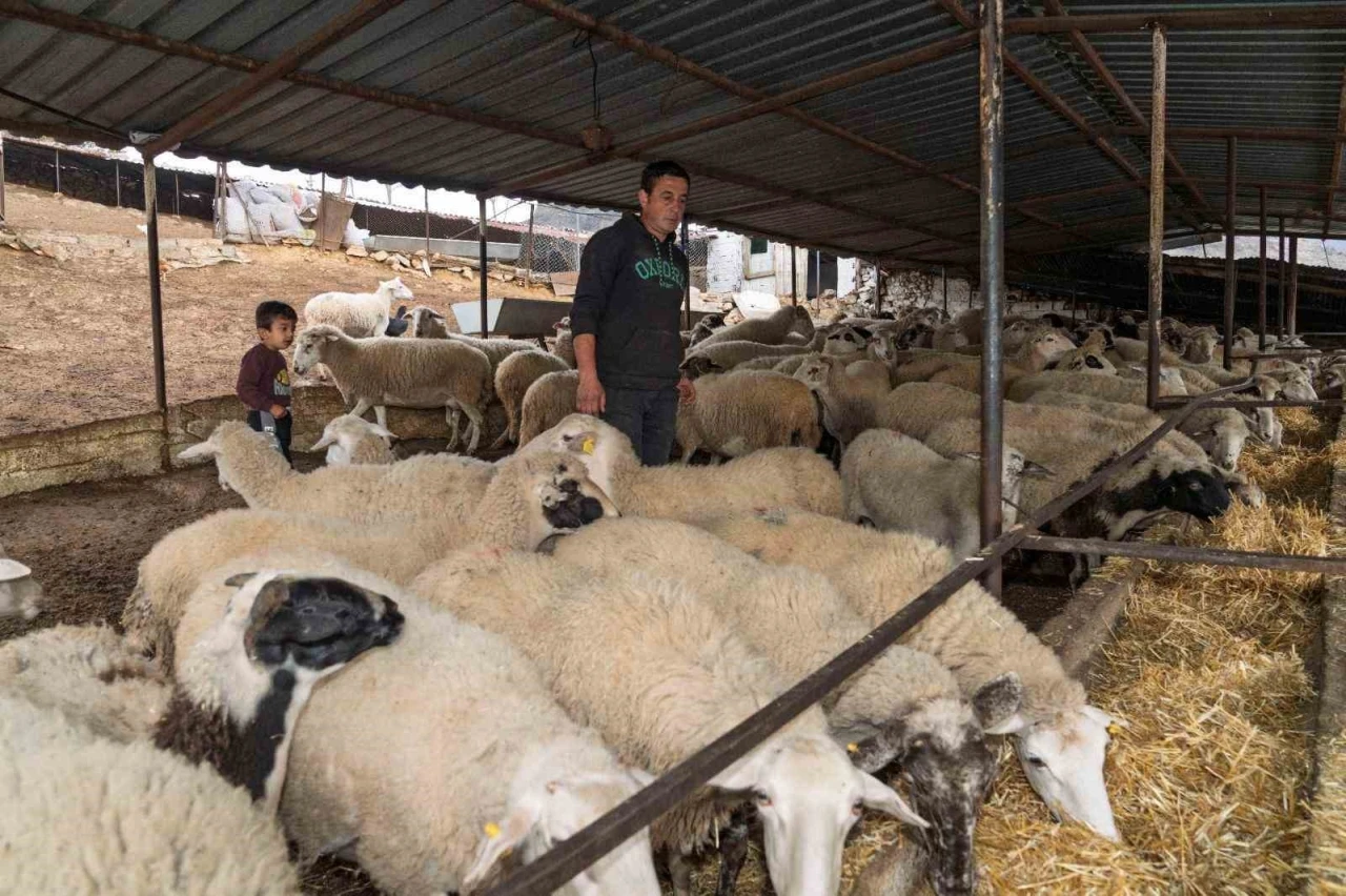 Yangın mağduru çiftçilere 225 ton yem desteği
