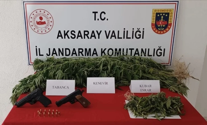 Yasa dışı kenevir üretimine jandarma darbesi
