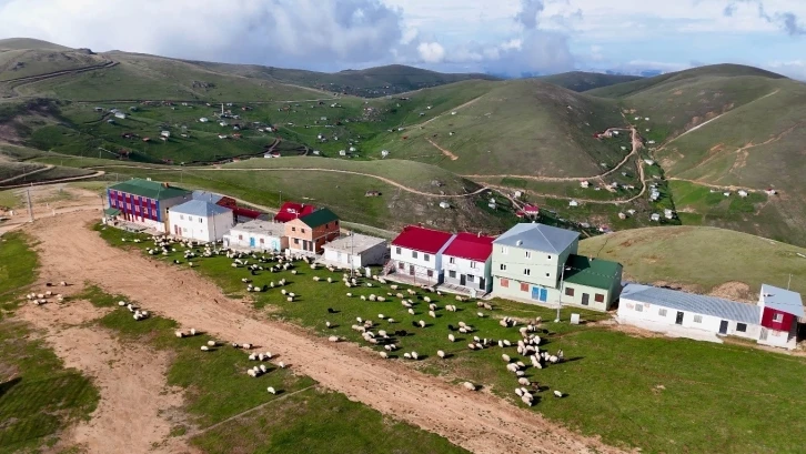 Yayla evi değil yayla apartmanı
