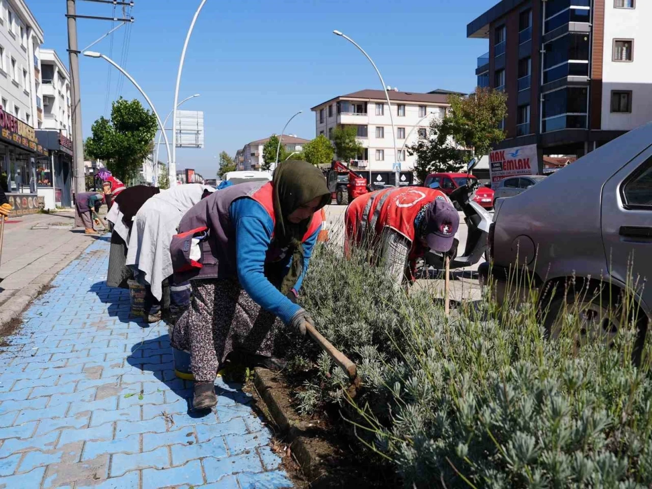 Yeşil dokuya özel ilgi
