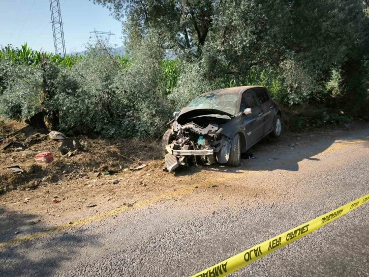 Yol kenarındaki ağaca çarpan otomobilin sürücüsü hayatını kaybetti
