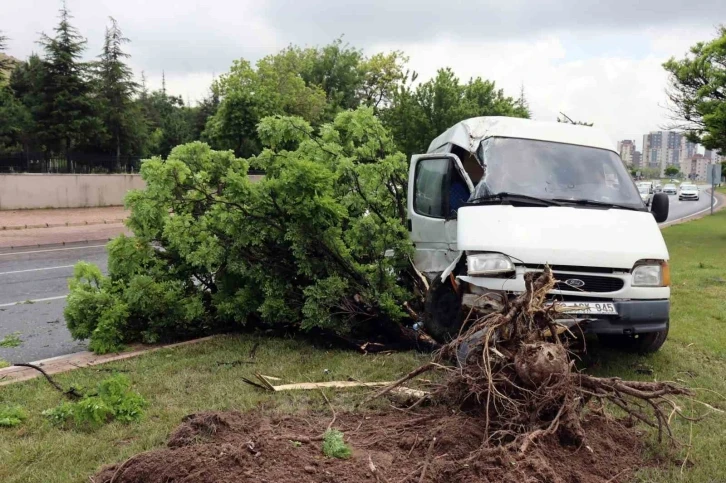 Yoldan çıkan panelvan araç refüjdeki ağaca çarptı: 1’i ağır 2 yaralı
