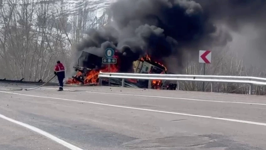 Yoldan çıkıp devrilen tır alev alev yandı
