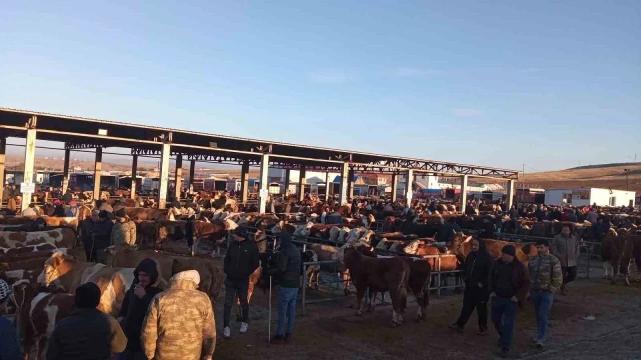 Yozgat’ta geçici olarak kapatılan hayvan pazarları yeniden açıldı
