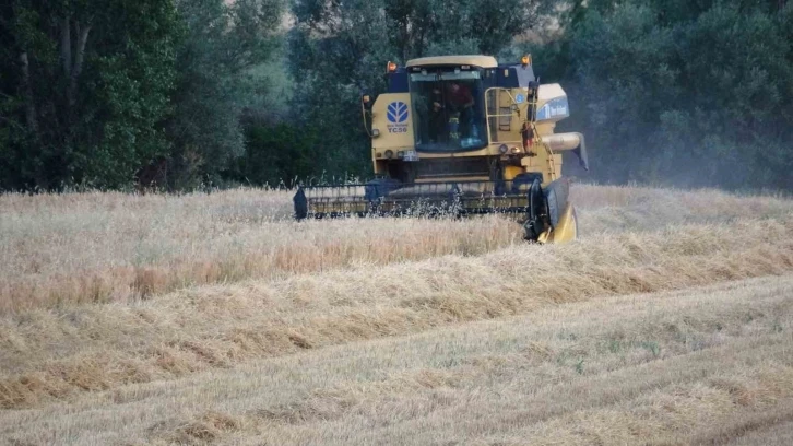 Yozgat’ta kuraklık nedeniyle arpa hasadı erken başladı
