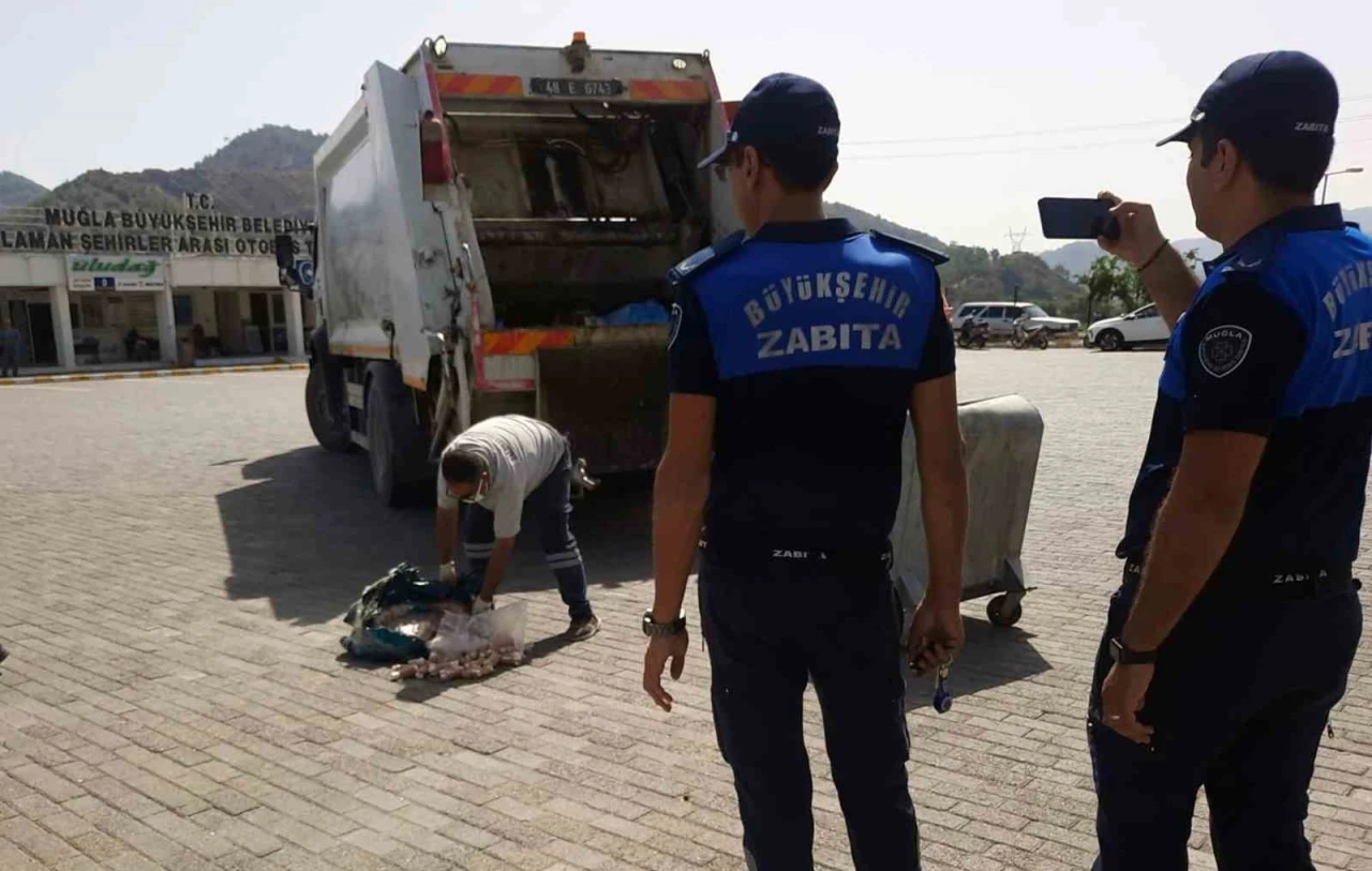 Muğla’da Gıda Denetimleri Hız Kesmiyor