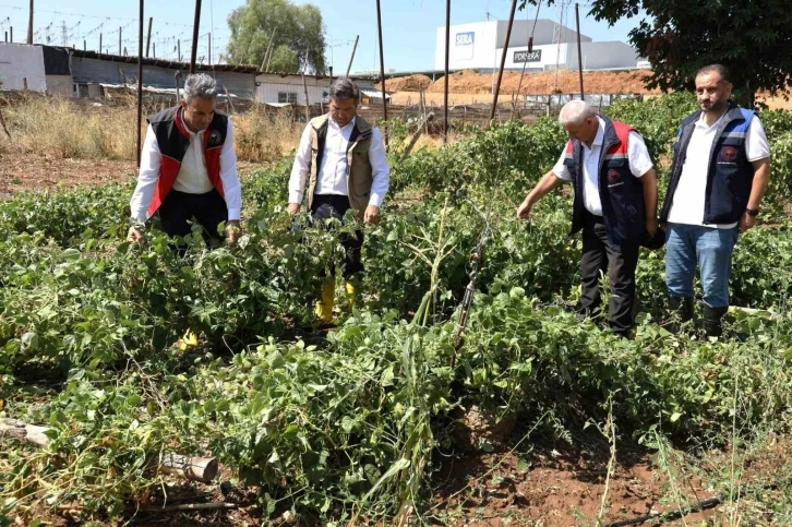 Zarar gören tarımsal alanlarda hasar tespit çalışmaları yapıldı
