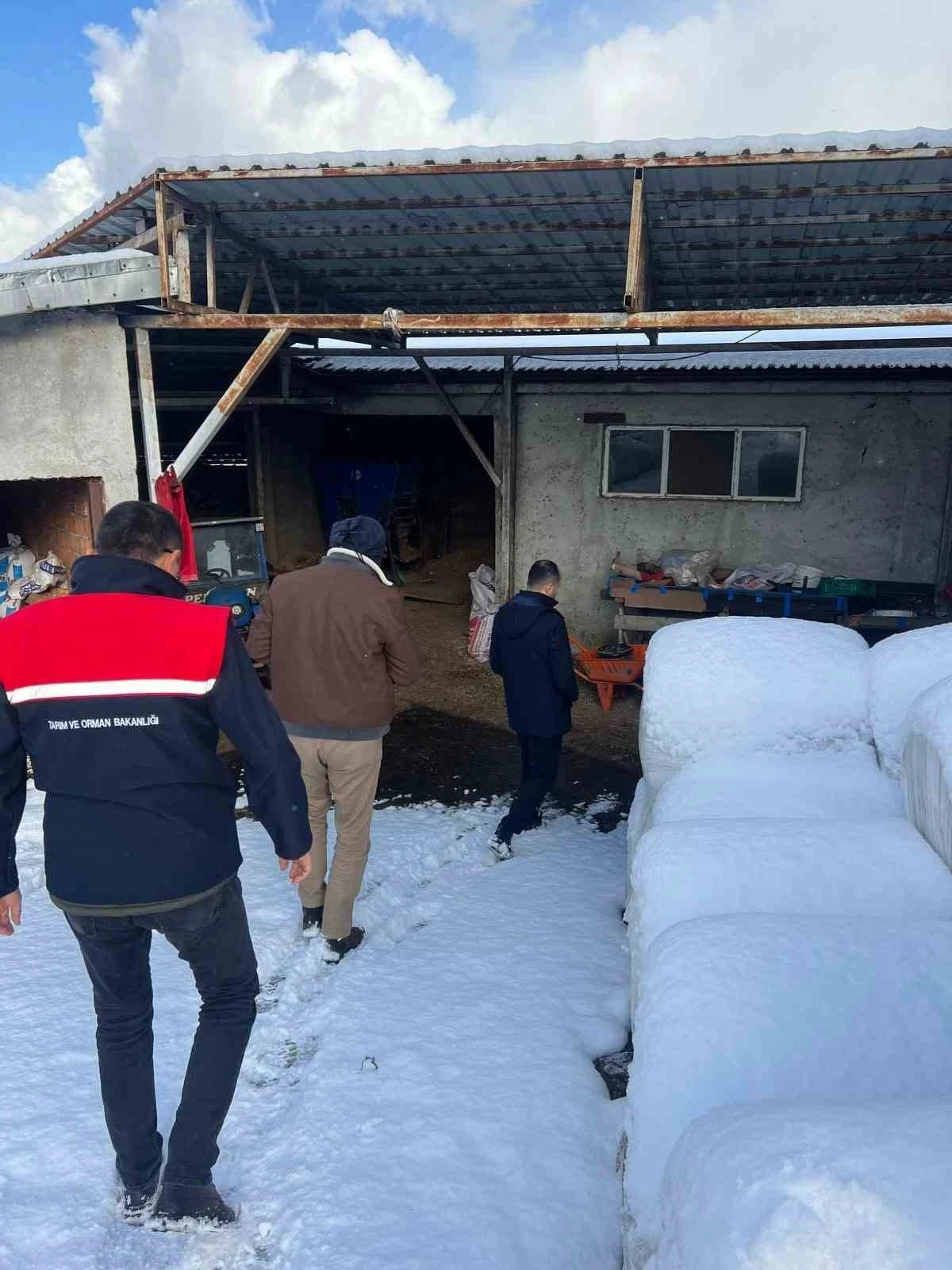 Zonguldak’ta şap nedeniyle bir köyde karantina uygulaması başlatıldı
