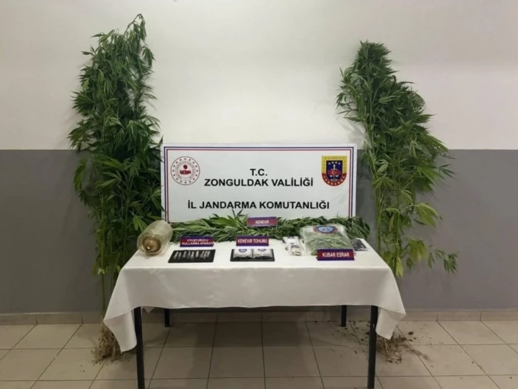 Zonguldak’ta uyuşturucu operasyonunda 1 tutuklama

