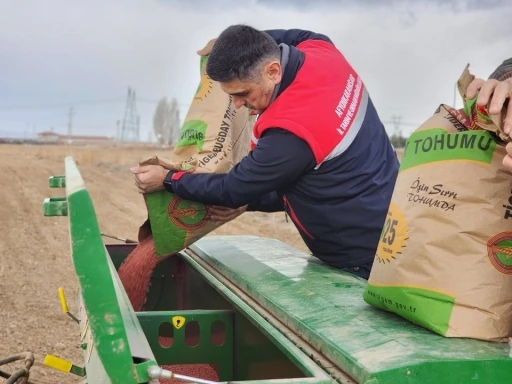 300 ton buğday ekimi gerçekleştirildi
