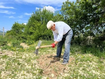 80 yaşında tarlada gençlere taş çıkartıyor: &quot;Çalışmadan duramıyorum&quot;
