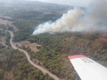 Adana’da çıkan orman yangını kontrol altına alındı
