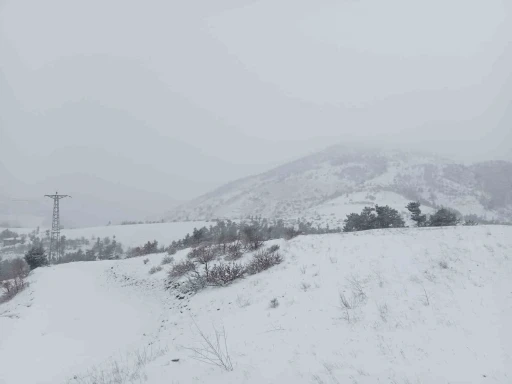 Adana’nın yüksek kesimlerinde kar yağışı etkili oldu
